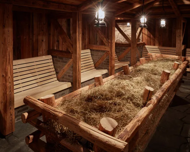 Thermen Bad Nieuweschans Hosauna 1 500