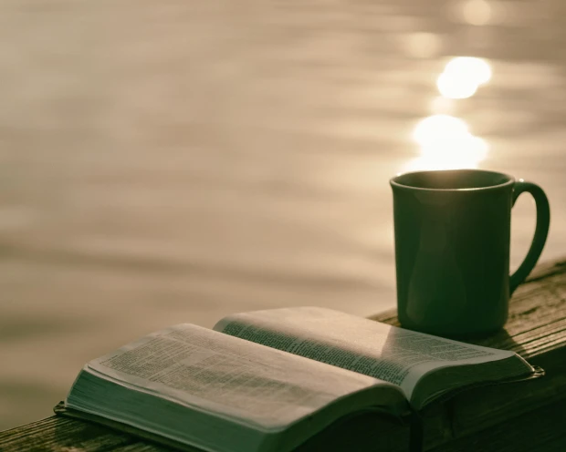 nieuwsbericht Retreats Mindfulness