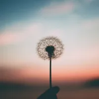 nieuwsbrief Mindfulness Retreats