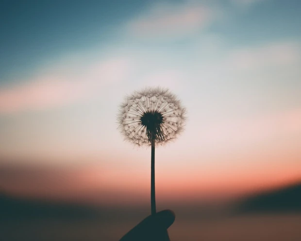 nieuwsbrief Mindfulness Retreats