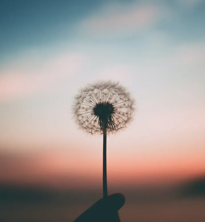 nieuwsbrief Mindfulness Retreats