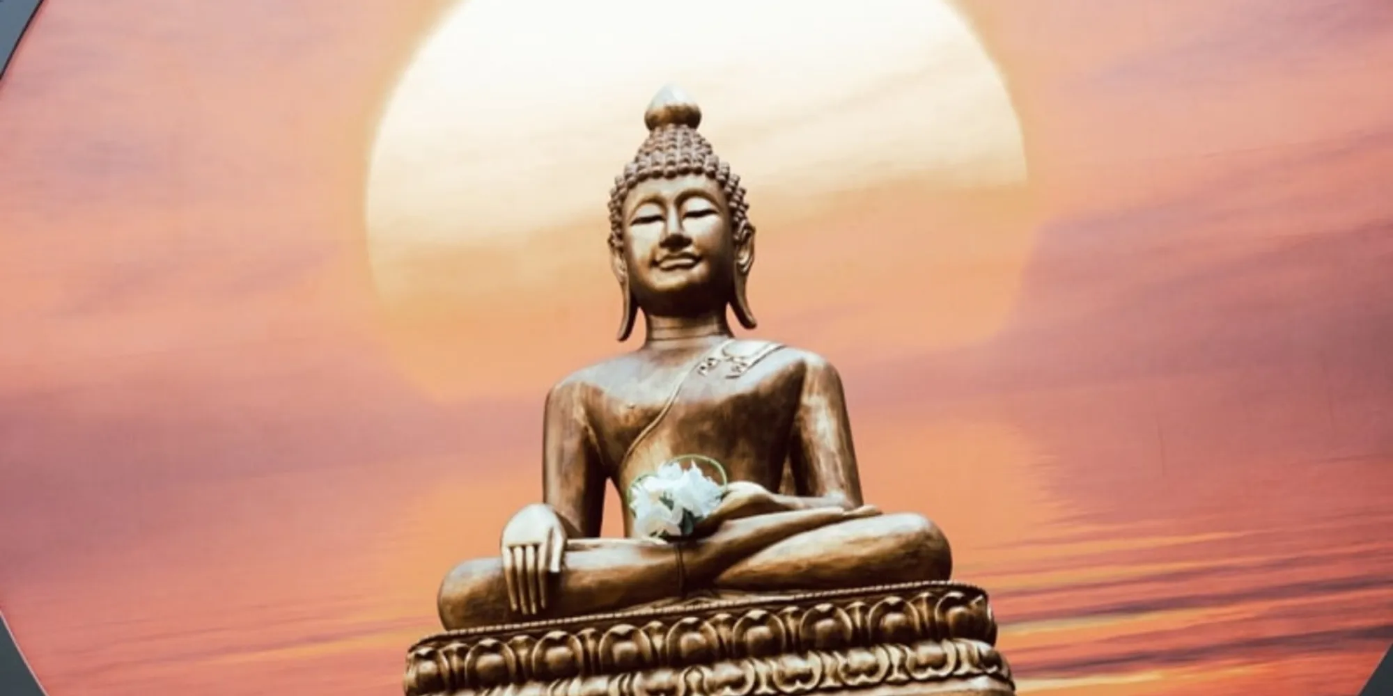 Thermen Bussloo Retreats 2 1000