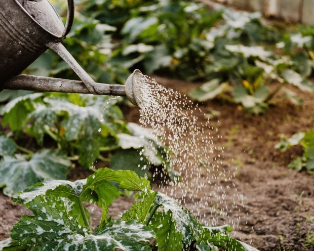 Ontspanning bij je thuis tuin 1 250