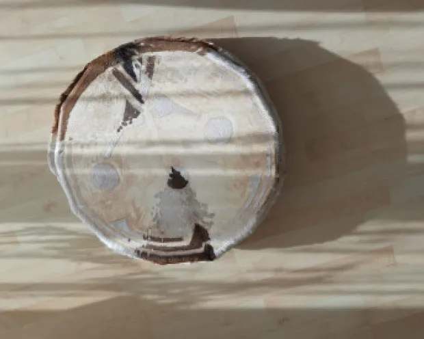 Reis van de sjamaan drums